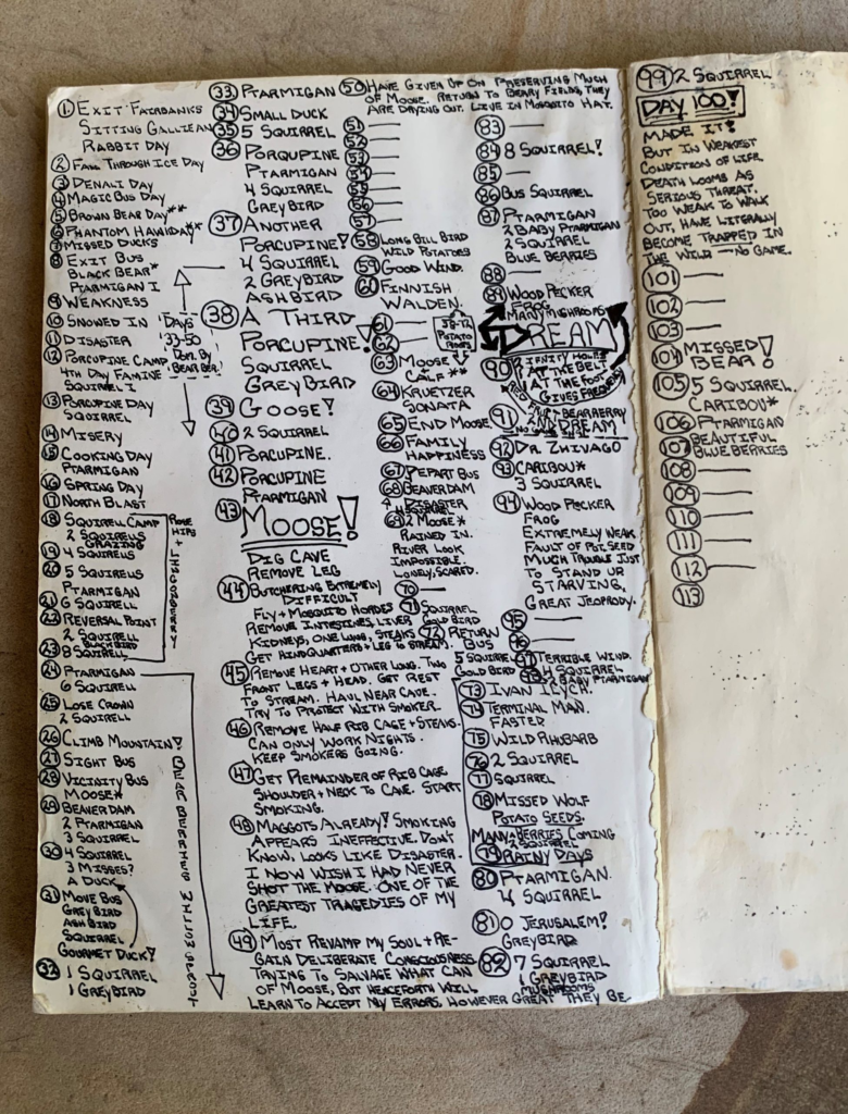The Fascinating Story of Christopher McCandless 6 image 12