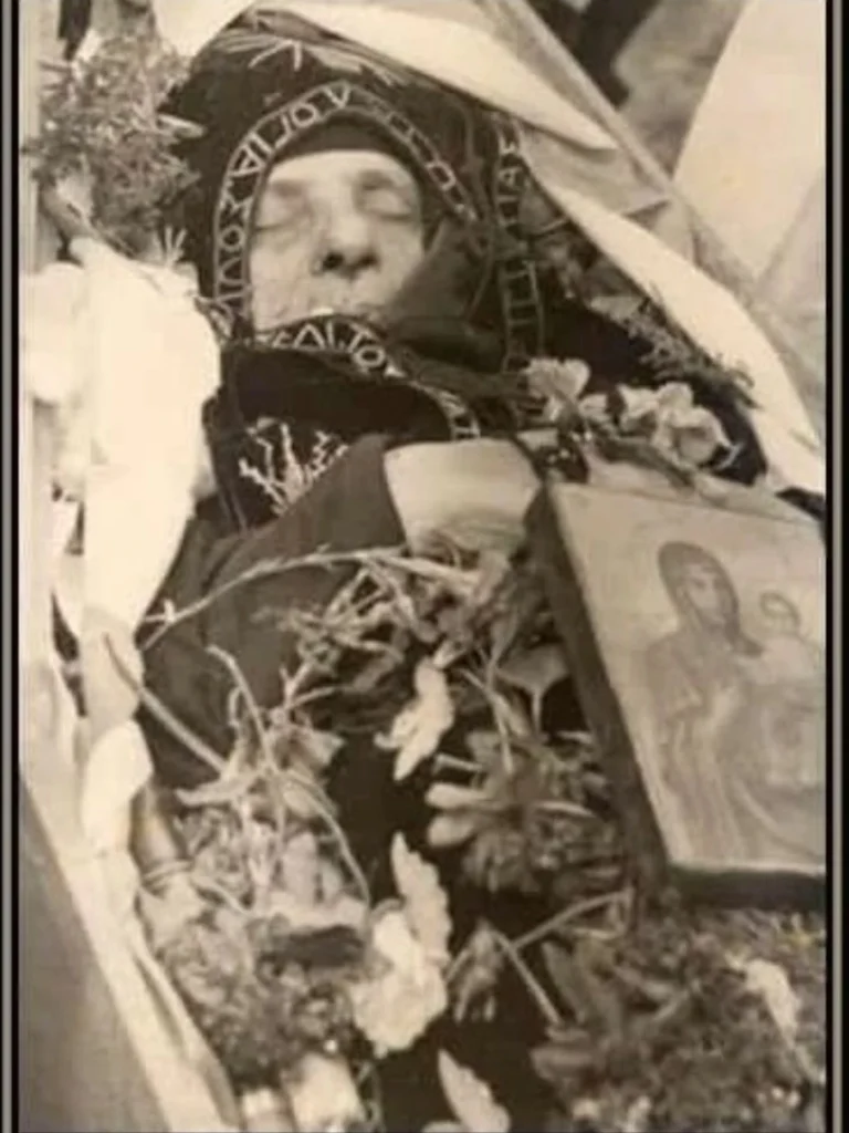 529601608 31355486170709187 5845199337684464504 n