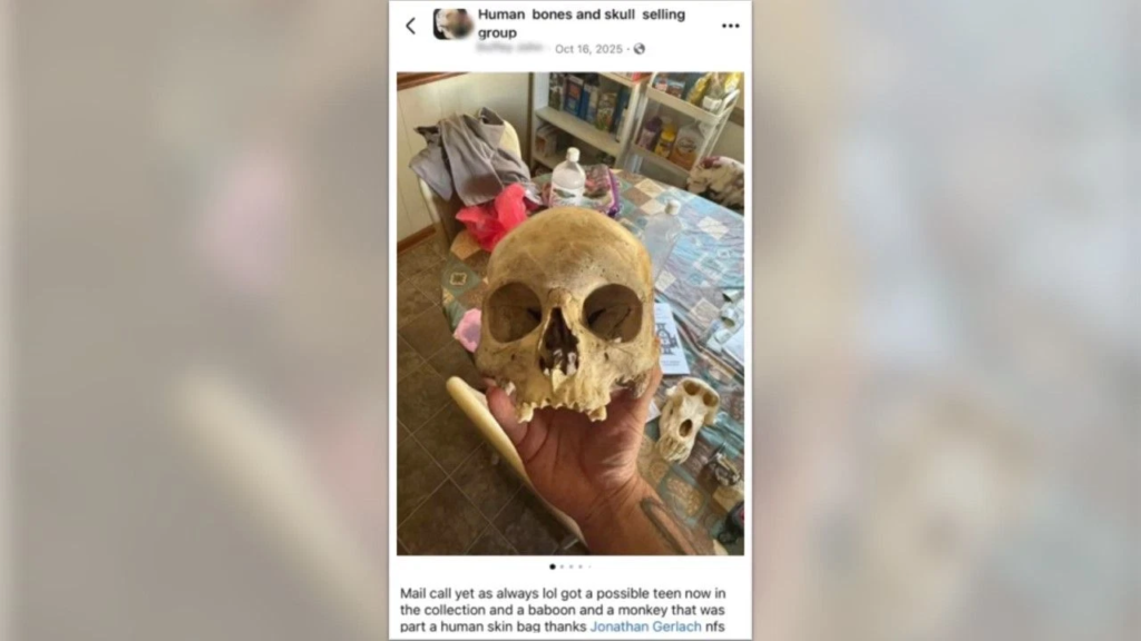 The Disturbing Story of Jonathan Gerlach, The Pennsylvania Man Who Robbed 26 Graves and Hoarded Over 100 Human Remains 4 A buyer publicly thanks Jonathan Gerlach in the "Human Bones and Skull Selling Group" on Facebook, October 16, 2025. Facebook via court documents.