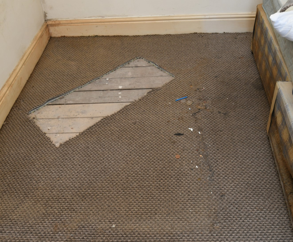 How Marcin Majerkiewicz Murdered His Housemate Stuart Everett, Dismembered His Body, and Spent Weeks Pretending to Be Him 7 A section of carpet cut from Majerkiewicz's bedroom at the Worsley Road address, recovered by investigators. Forensic examination confirmed it had been removed in an attempt to conceal evidence of the attack.