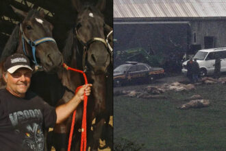 A Man Released 56 Wild Animals Into an Ohio Town, Then Shot Himself