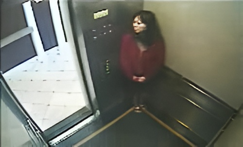 Elisa Lam Checked Into the Cecil Hotel in January 2013 and Was Never Seen Alive Again 4 Elisa Lam caught on the Cecil Hotel elevator camera on Jan 31, 2013. The footage went viral after police released it, sparking worldwide theories about her death.