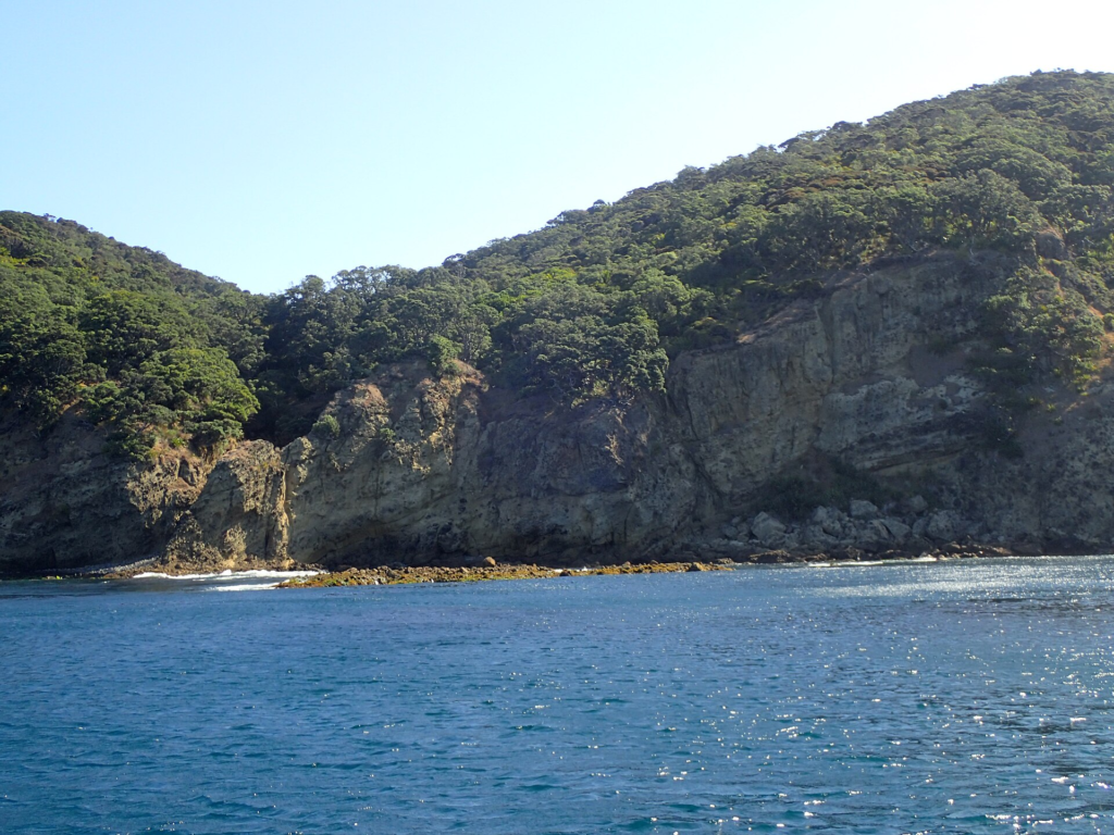 Little Waterfall Bay, Great Barrier Island, New Zealand — where the Rose-Noëlle came ashore on October 1, 1989, ending 119 days adrift.
