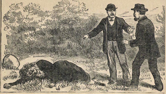 How a Jersey City Reporter Caught the Man Who Killed Philomena Muller 4 image 16