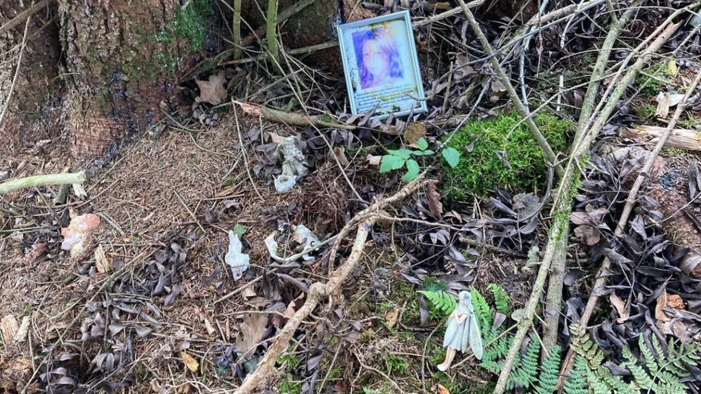 How Frauke Liebs Called Home Seven Times and Was Never Found Alive 5 Memorial site at the Totengrund forest near Herbram, Lichtenau, Germany — where Frauke Liebs' remains were discovered by a hunter on October 4, 2006.vikipedia