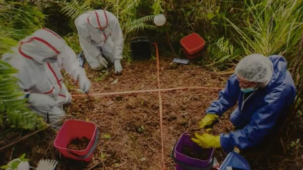 How Jesse Kempson Murdered Grace Millane on the Eve of Her 22nd Birthday 6 Forensic investigators work the burial site on Scenic Drive, Waitākere Ranges, west of Auckland, where Grace Millane's body was recovered on December 9, 2018, approximately ten yards from the road. Photo: NZ Herald.