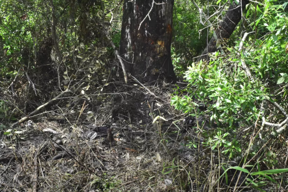 Stephanie Mayorga and Paige Escalera Disappeared in Seconds. Their Car Sat in the Woods for Nineteen Days. 5 AN engaged couple who disappeared last month were “drunk and speeding” before their car crashed in the woods and their bodies weren’t found for weeks, according to police.