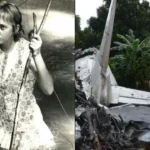 How Juliane Koepcke Fell 10,000 Feet and Survived Eleven Days Alone in the Amazon