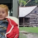 How Ryker Webb Vanished Two Miles into the Montana Wilderness at Age Three and Survived 48 Hours Alone