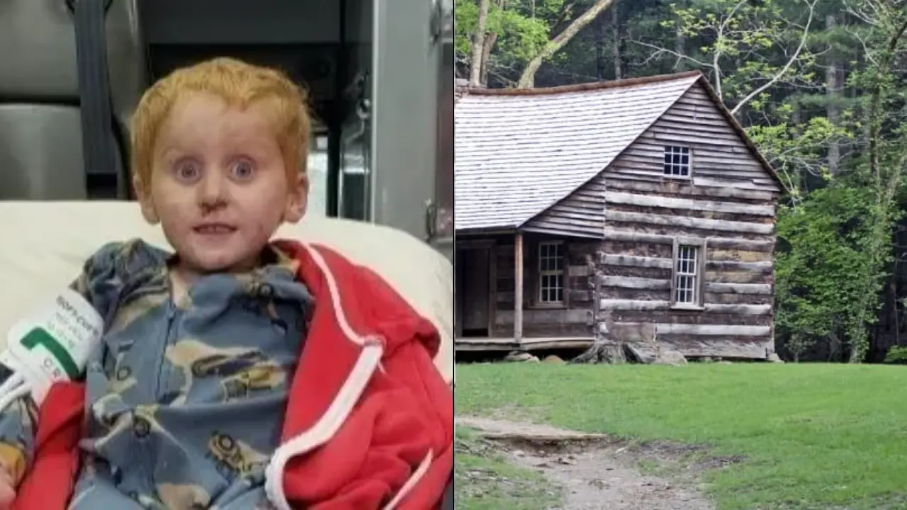 How Ryker Webb Vanished Two Miles into the Montana Wilderness at Age Three and Survived 48 Hours Alone