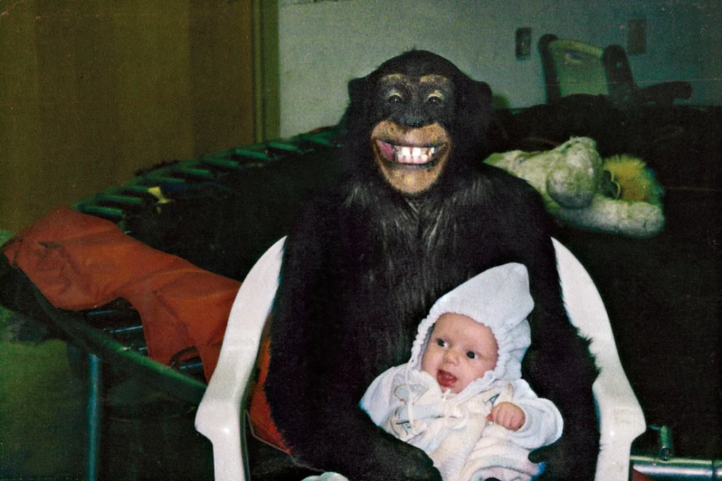 Travis the Chimpanzee Was Sandra Herold's World. On February 16, 2009, He Destroyed Her Best Friend. 2 Travis the chimpanzee poses with an infant at the Herold family home in Stamford, Connecticut, in the early 2000s.