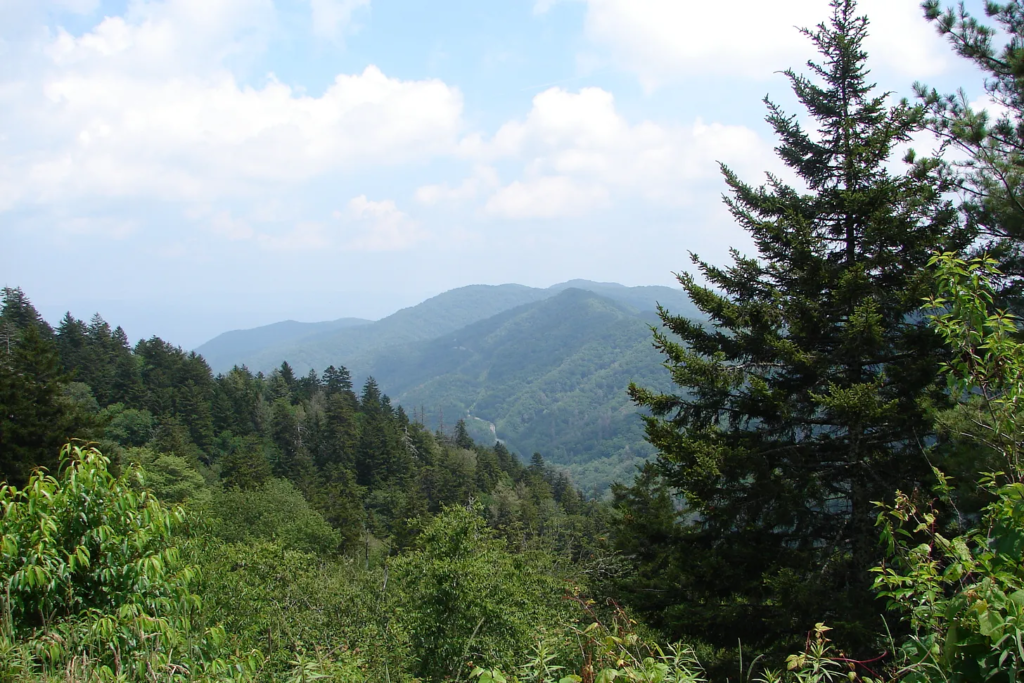 How Sixteen-Year-Old Trenny Gibson Vanished from a School Field Trip in the Smokies 3 The Forney Ridge Trail area in Great Smoky Mountains National Park, Tennessee, where Trenny Gibson was last seen on October 8, 1976.