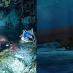 Harrison Okene spent 60 hours in a sunken tugboat while the rescue team came to collect bodies
