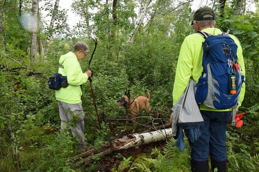 Search volunteers and a dog team work through dense woodland, typical of the terrain covered during the multi-year search for Brandon Swanson near the Yellow Medicine River and Mud Creek drainage in rural Minnesota.